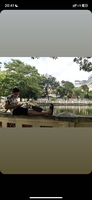 quang vũ