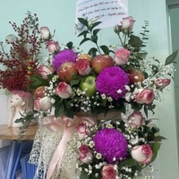 Pe Nấm