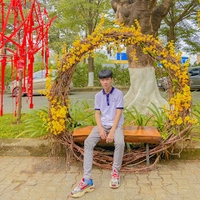 Lợi Lê