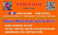 Tamphuc Organic