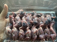Nguyễn Như 