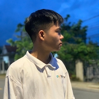 Việt Võ