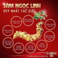 SÂM NGỌC LINH