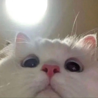 Tuấn