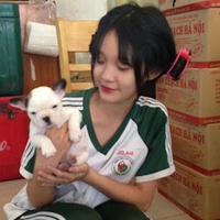 Hải Anh Nguyễn