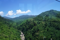 Nguyễn Thanh Châu Ngọc