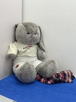 Vũ Đình Minh Hoàng