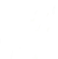 Nguyễn Thế Bảo