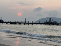 Hồng Nhung
