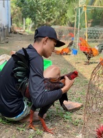 Minh Tiến