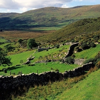 Học Nguyễn Viết