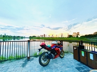 Đăng Hiếu