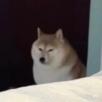QMT