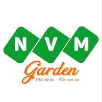 Nguyễn viết mạnh