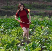 Thanh Coffe