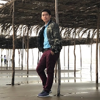 hoai bao nguyen