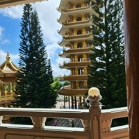 Xe Điện việt Trung