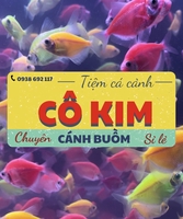 Trại cá buồm Cô Kim