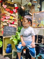 luu vinh