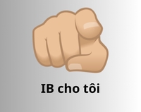 GÒM MT