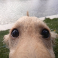 Nguyễn Ngọc Bảo Châu