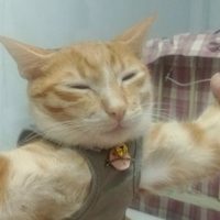 Hoàng Vũ