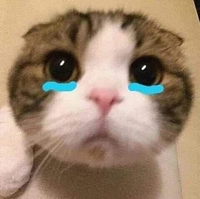 Tom
