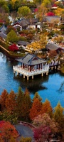 Đại Lâm