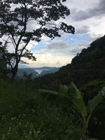 cuoicungtrang