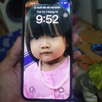 Thanh Nghị