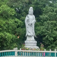 Quỳnh