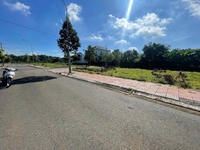 Mỹ Chi