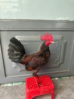 Hong mua đừng hứa hẹn 