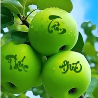 Anh 2 miệt vườn