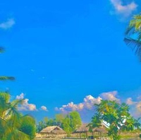 Trần Thịnh