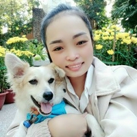 An Hạ