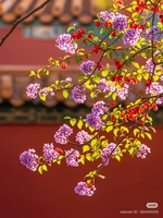 Chau Minh