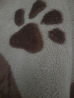 giabao