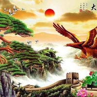 Trung