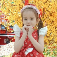 Vinh Anh