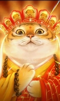 Hue Quang Truong