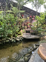 hải huy