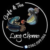 Channa fish Lucy - 0399003736