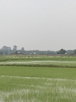 Dung Quang