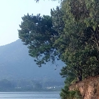 Thịnh Danh