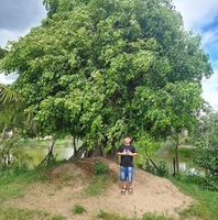 Mai Hoàng Nam