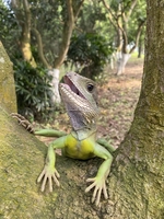 lão nhị