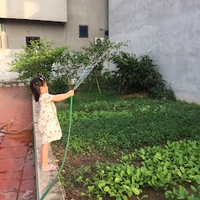 Cương Quốc