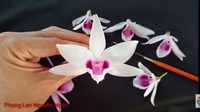 Phan Tiến Sỹ