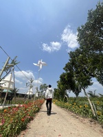Phạm Phúc